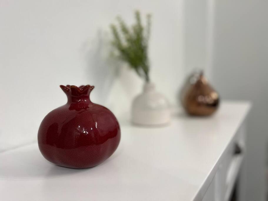 Cherry Blossom Townhouse, Easy Dc Access Washington